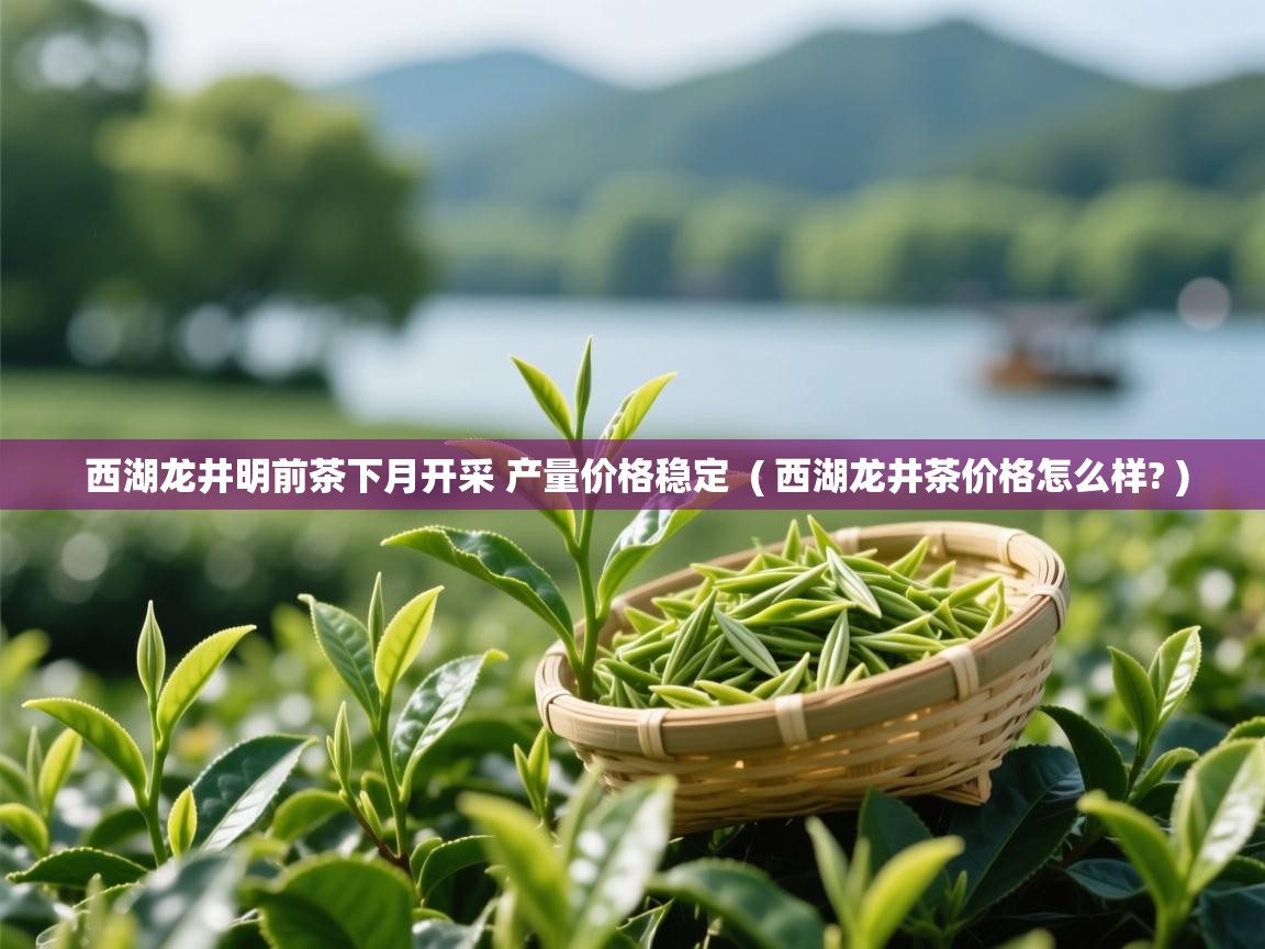 西湖龙井明前茶下月开采 产量价格稳定  ( 西湖龙井茶价格怎么样? )  西湖龙井明前茶下月开采 产量价格稳定  ( 西湖龙井茶价格怎么样? )