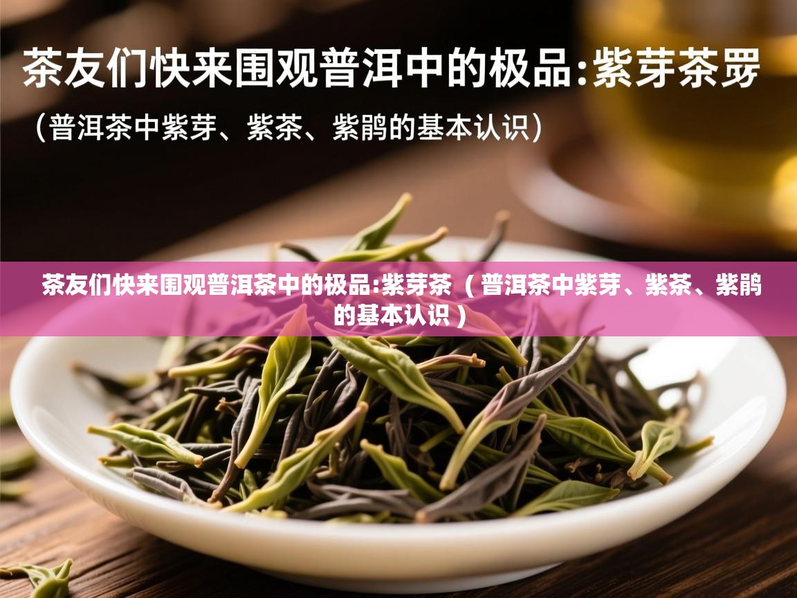 茶友们快来围观普洱茶中的极品:紫芽茶  ( 普洱茶中紫芽、紫茶、紫鹃的基本认识 )  茶友们快来围观普洱茶中的极品:紫芽茶  ( 普洱茶中紫芽、紫茶、紫鹃的基本认识 )