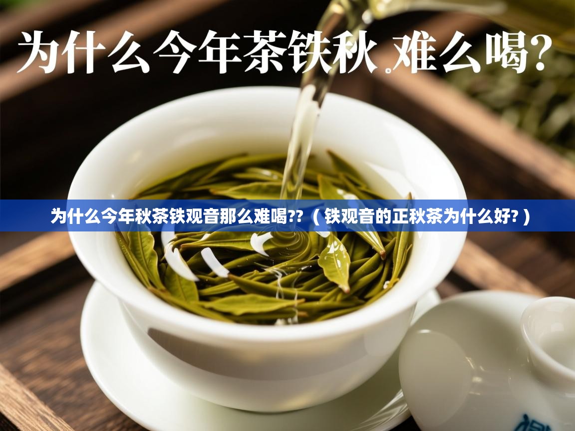 为什么今年秋茶铁观音那么难喝??  ( 铁观音的正秋茶为什么好? )  为什么今年秋茶铁观音那么难喝??  ( 铁观音的正秋茶为什么好? )