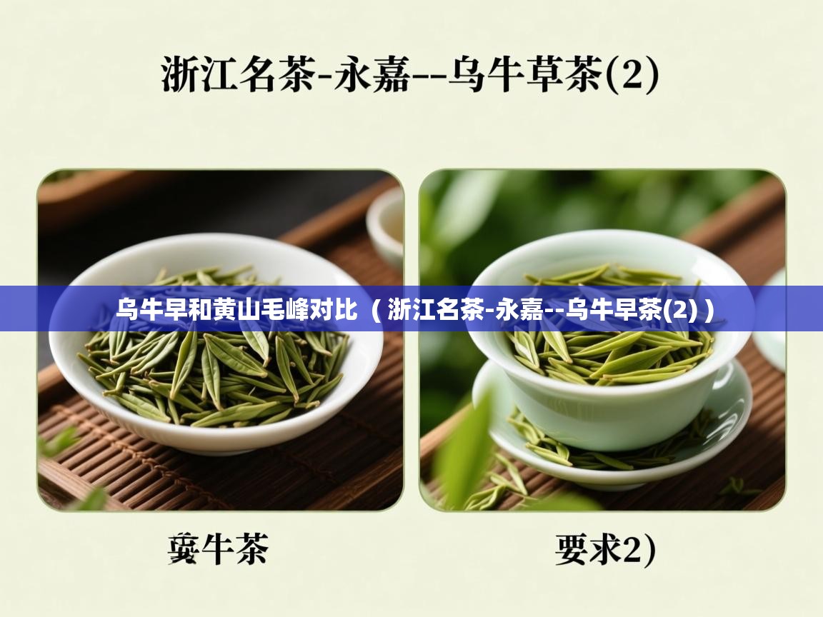 乌牛早和黄山毛峰对比  ( 浙江名茶-永嘉--乌牛早茶(2) )  乌牛早和黄山毛峰对比  ( 浙江名茶-永嘉--乌牛早茶(2) )