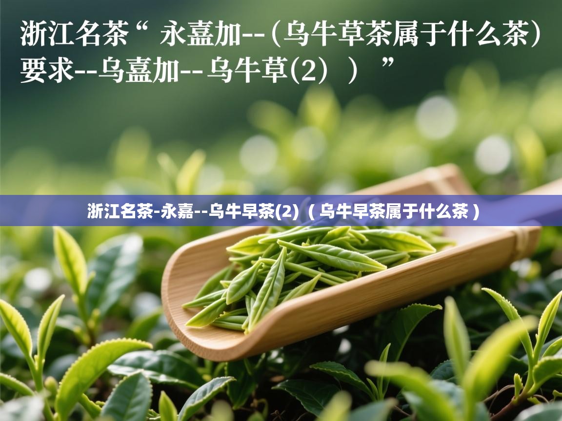 详细阅读: 浙江名茶-永嘉--乌牛早茶(2)  ( 乌牛早茶属于什么茶 )  浙江名茶-永嘉--乌牛早茶(2)  ( 乌牛早茶属于什么茶 )