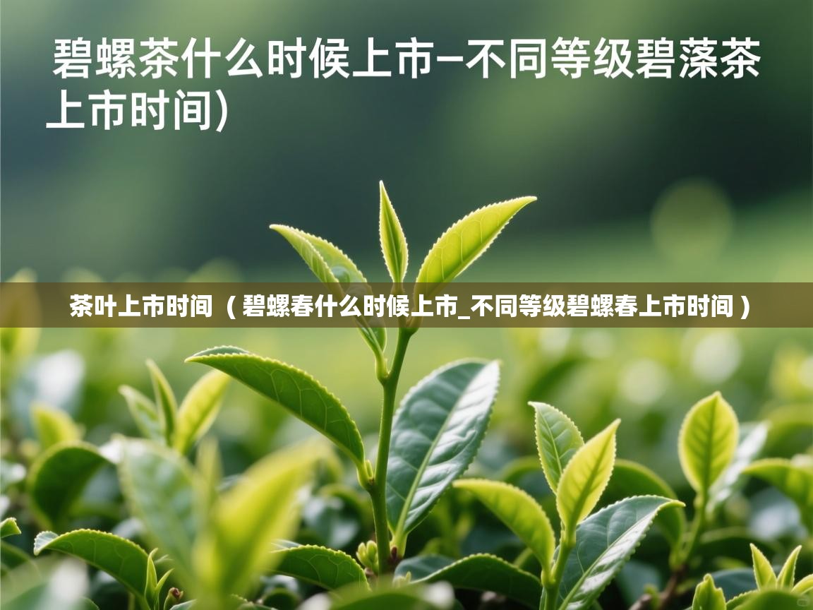 茶叶上市时间  ( 碧螺春什么时候上市_不同等级碧螺春上市时间 )  茶叶上市时间  ( 碧螺春什么时候上市_不同等级碧螺春上市时间 )