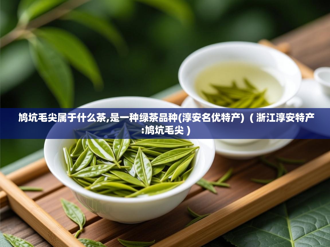  鸠坑毛尖属于什么茶,是一种绿茶品种(淳安名优特产)  ( 浙江淳安特产:鸠坑毛尖 )