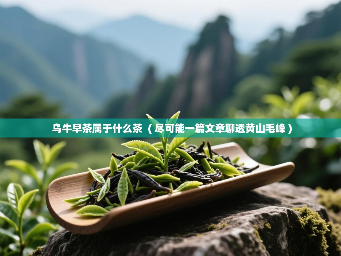 详细阅读: 乌牛早茶属于什么茶  ( 尽可能一篇文章聊透黄山毛峰 )  乌牛早茶属于什么茶  ( 尽可能一篇文章聊透黄山毛峰 )
