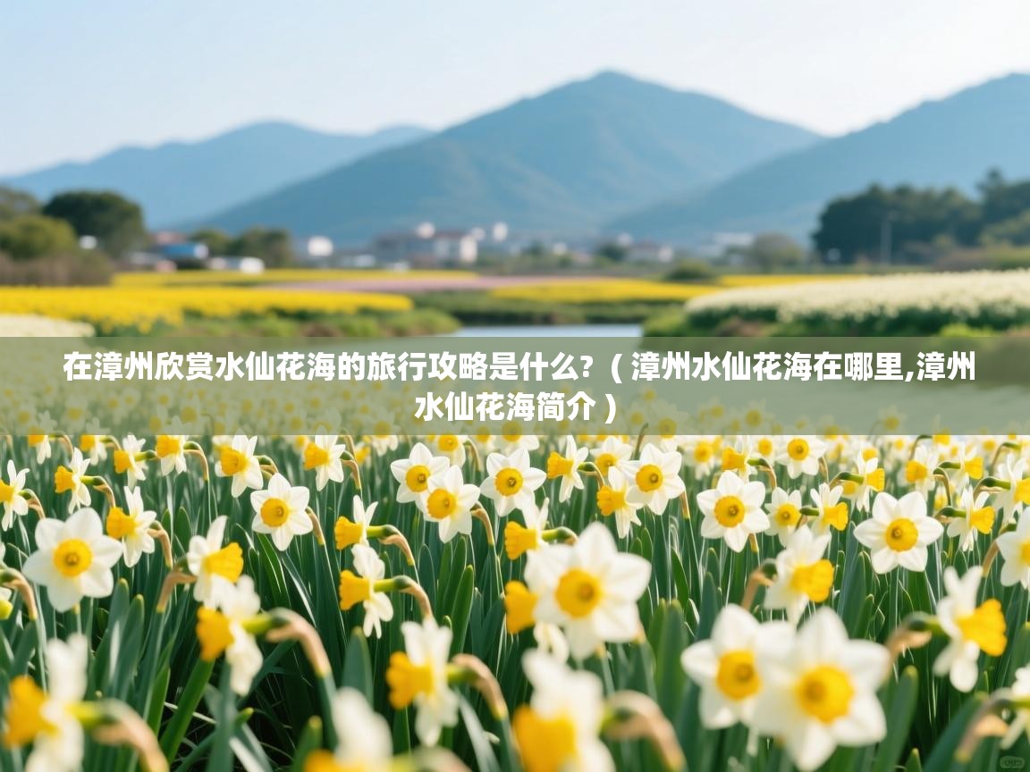 在漳州欣赏水仙花海的旅行攻略是什么?  ( 漳州水仙花海在哪里,漳州水仙花海简介 )  在漳州欣赏水仙花海的旅行攻略是什么?  ( 漳州水仙花海在哪里,漳州水仙花海简介 )