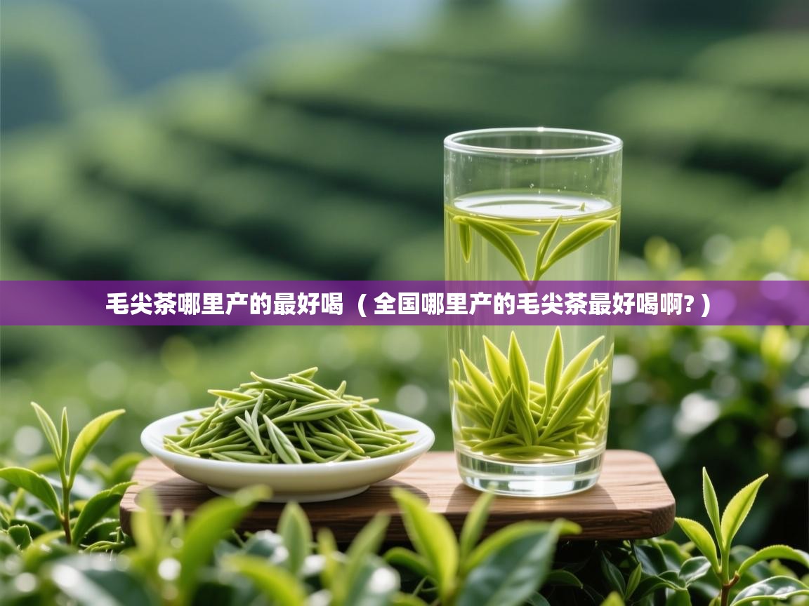 毛尖茶哪里产的最好喝  ( 全国哪里产的毛尖茶最好喝啊? )  毛尖茶哪里产的最好喝  ( 全国哪里产的毛尖茶最好喝啊? )