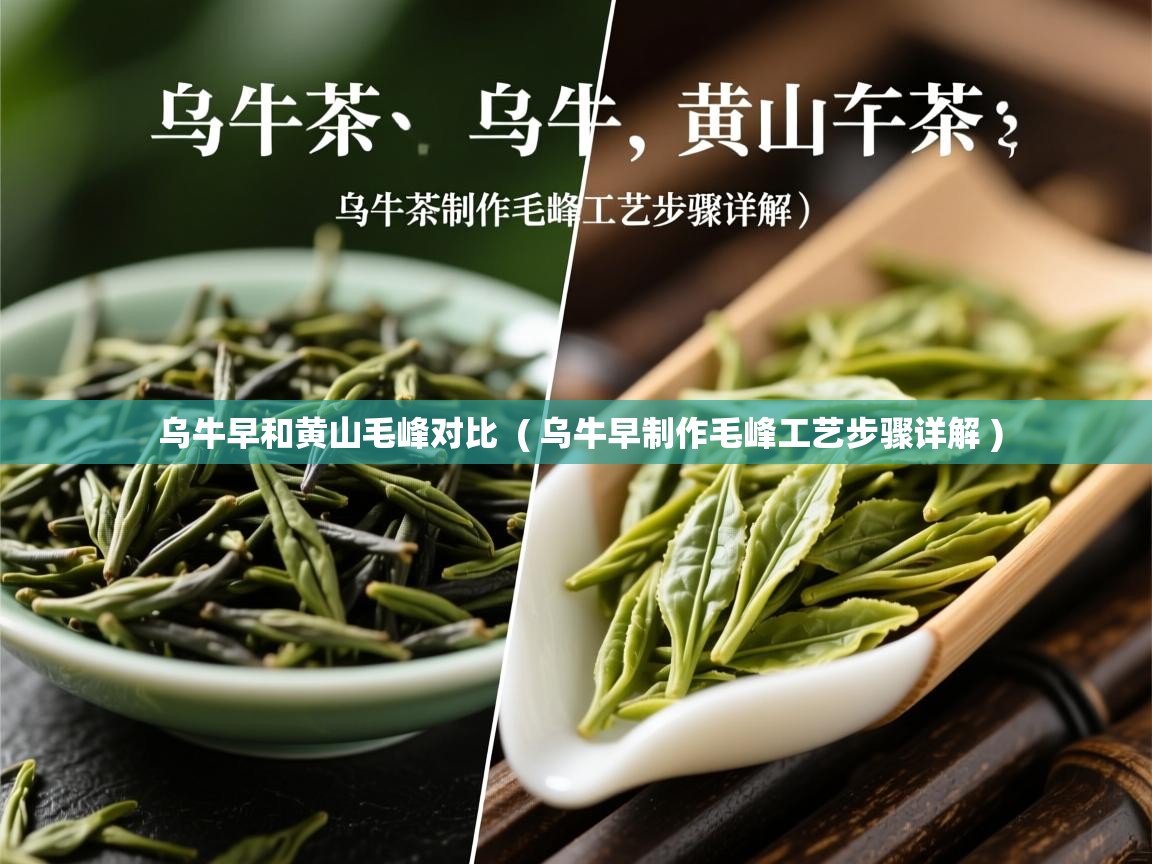 乌牛早和黄山毛峰对比  ( 乌牛早制作毛峰工艺步骤详解 )  乌牛早和黄山毛峰对比  ( 乌牛早制作毛峰工艺步骤详解 )