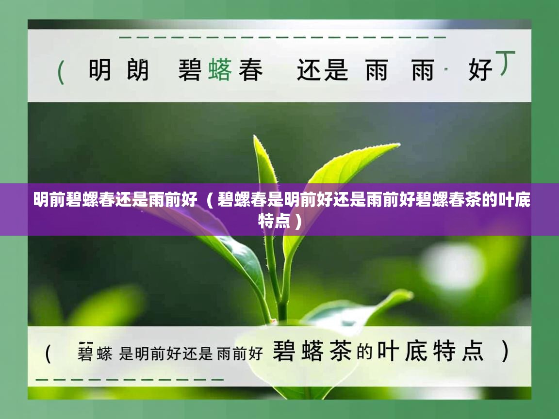 明前碧螺春还是雨前好  ( 碧螺春是明前好还是雨前好碧螺春茶的叶底特点 )  明前碧螺春还是雨前好  ( 碧螺春是明前好还是雨前好碧螺春茶的叶底特点 )