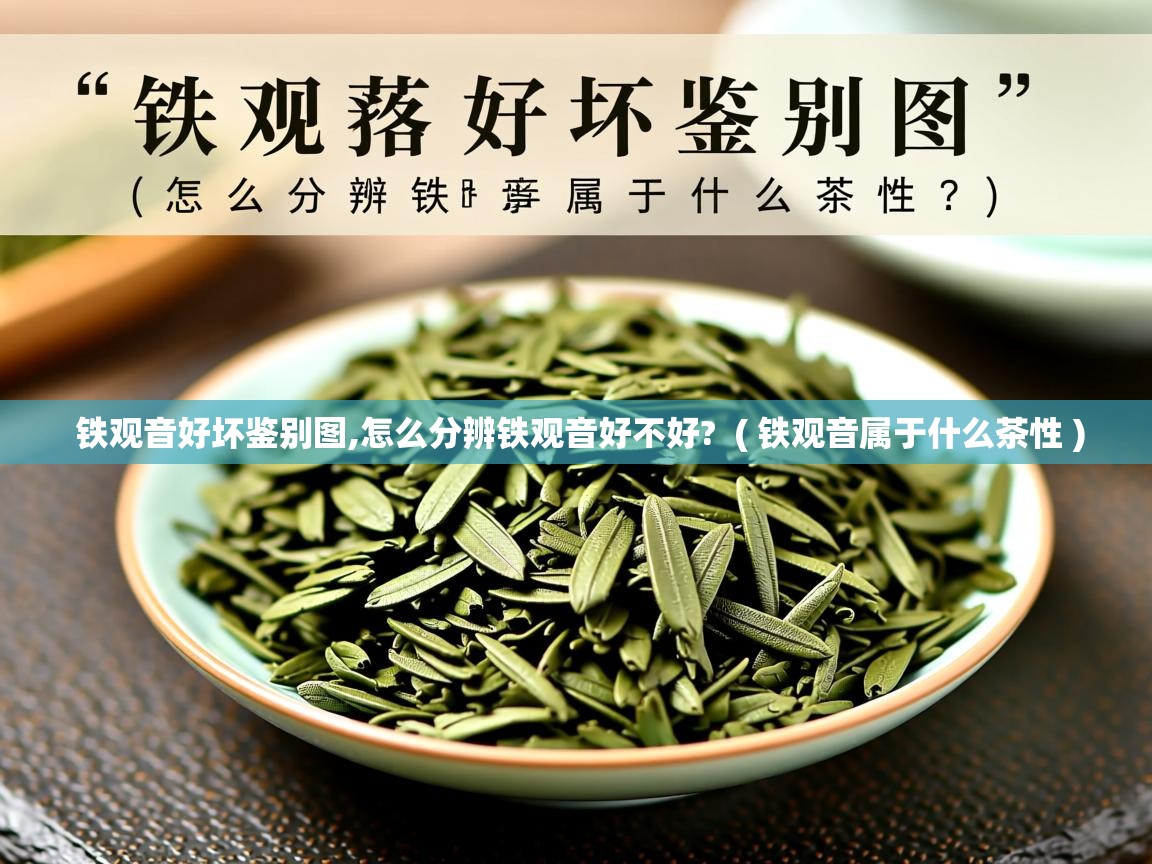 铁观音好坏鉴别图,怎么分辨铁观音好不好?  ( 铁观音属于什么茶性 )  铁观音好坏鉴别图,怎么分辨铁观音好不好?  ( 铁观音属于什么茶性 )