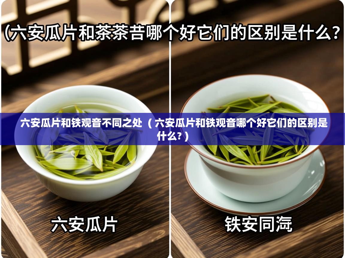 详细阅读: 六安瓜片和铁观音不同之处  ( 六安瓜片和铁观音哪个好它们的区别是什么? )  六安瓜片和铁观音不同之处  ( 六安瓜片和铁观音哪个好它们的区别是什么? )