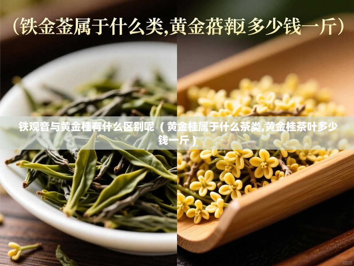  铁观音与黄金桂有什么区别呢  ( 黄金桂属于什么茶类,黄金桂茶叶多少钱一斤 )