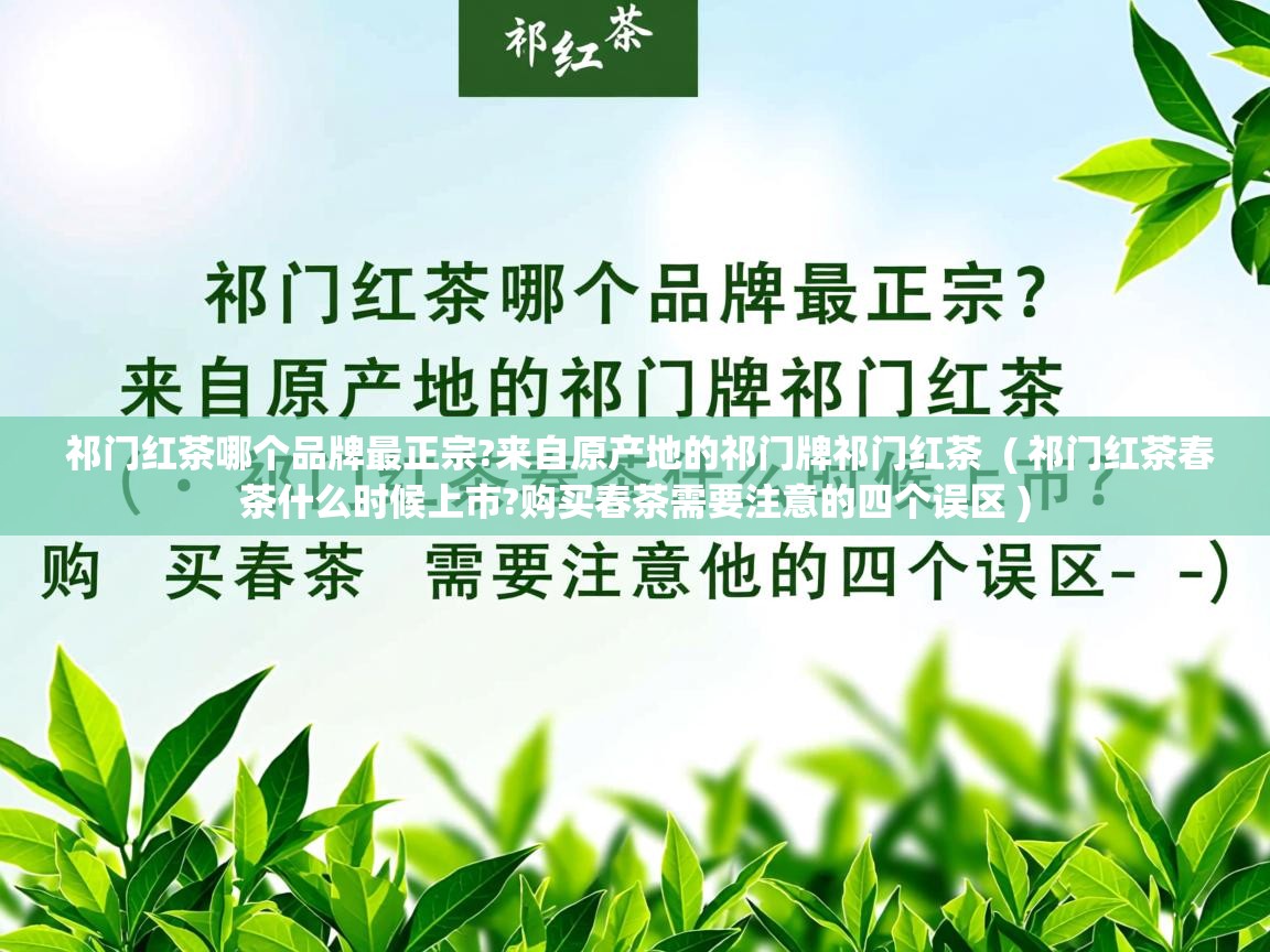 祁门红茶哪个品牌最正宗?来自原产地的祁门牌祁门红茶  ( 祁门红茶春茶什么时候上市?购买春茶需要注意的四个误区 )  祁门红茶哪个品牌最正宗?来自原产地的祁门牌祁门红茶  ( 祁门红茶春茶什么时候上市?购买春茶需要注意的四个误区 )