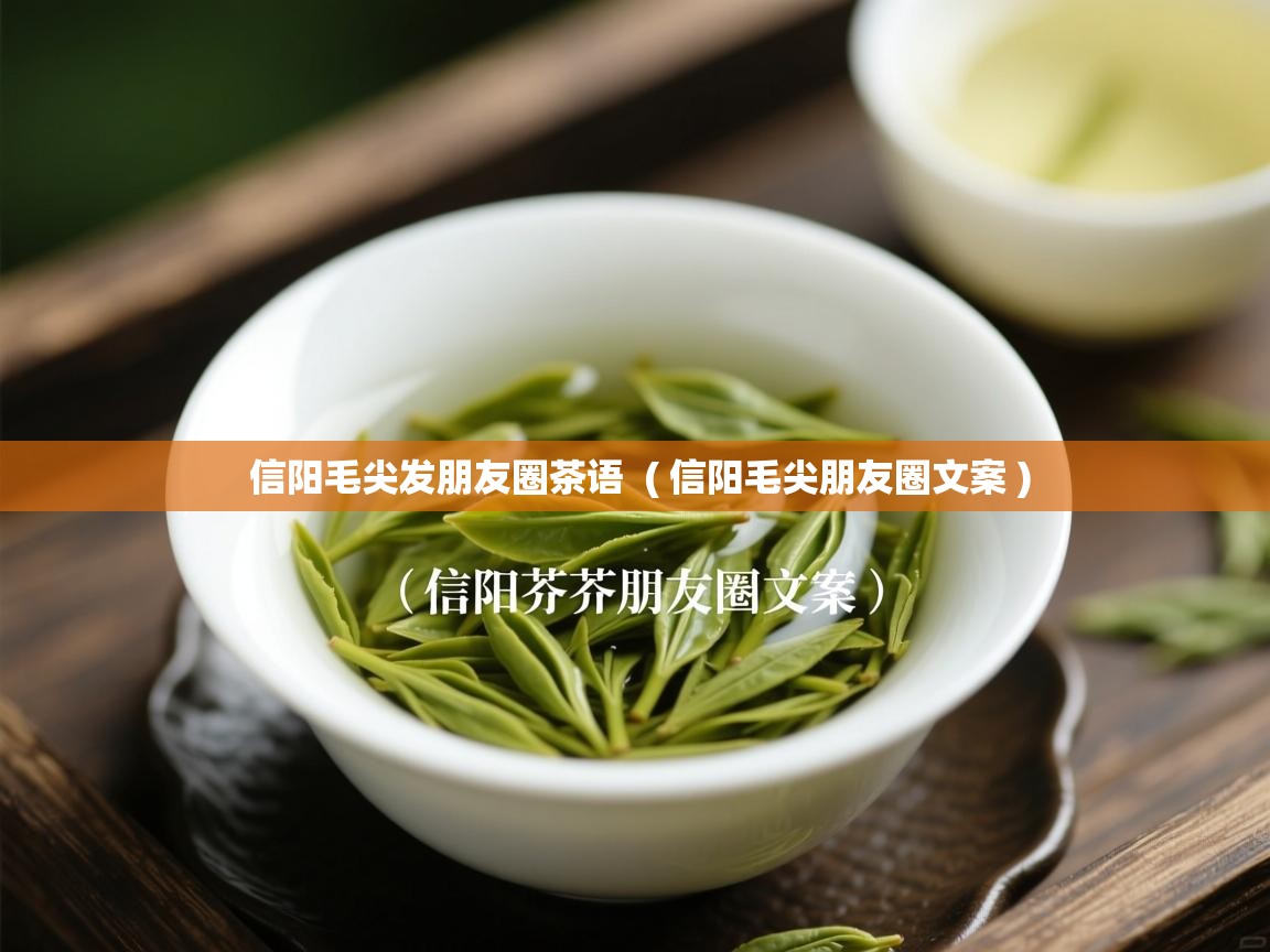 信阳毛尖发朋友圈茶语  ( 信阳毛尖朋友圈文案 )  信阳毛尖发朋友圈茶语  ( 信阳毛尖朋友圈文案 )