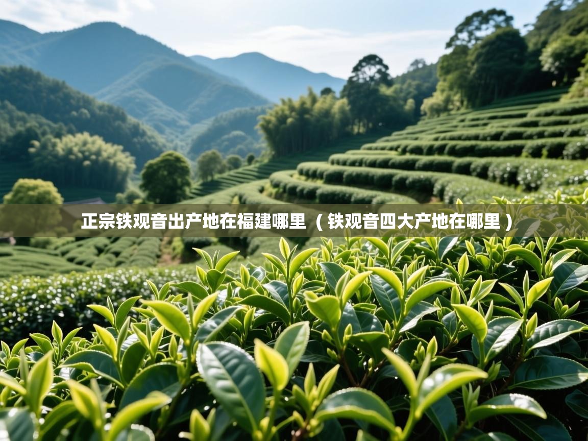 详细阅读: 正宗铁观音出产地在福建哪里  ( 铁观音四大产地在哪里 )  正宗铁观音出产地在福建哪里  ( 铁观音四大产地在哪里 )