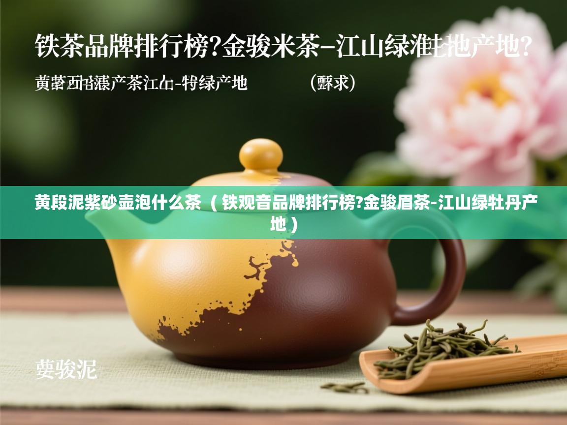 黄段泥紫砂壶泡什么茶  ( 铁观音品牌排行榜?金骏眉茶-江山绿牡丹产地 )  黄段泥紫砂壶泡什么茶  ( 铁观音品牌排行榜?金骏眉茶-江山绿牡丹产地 )