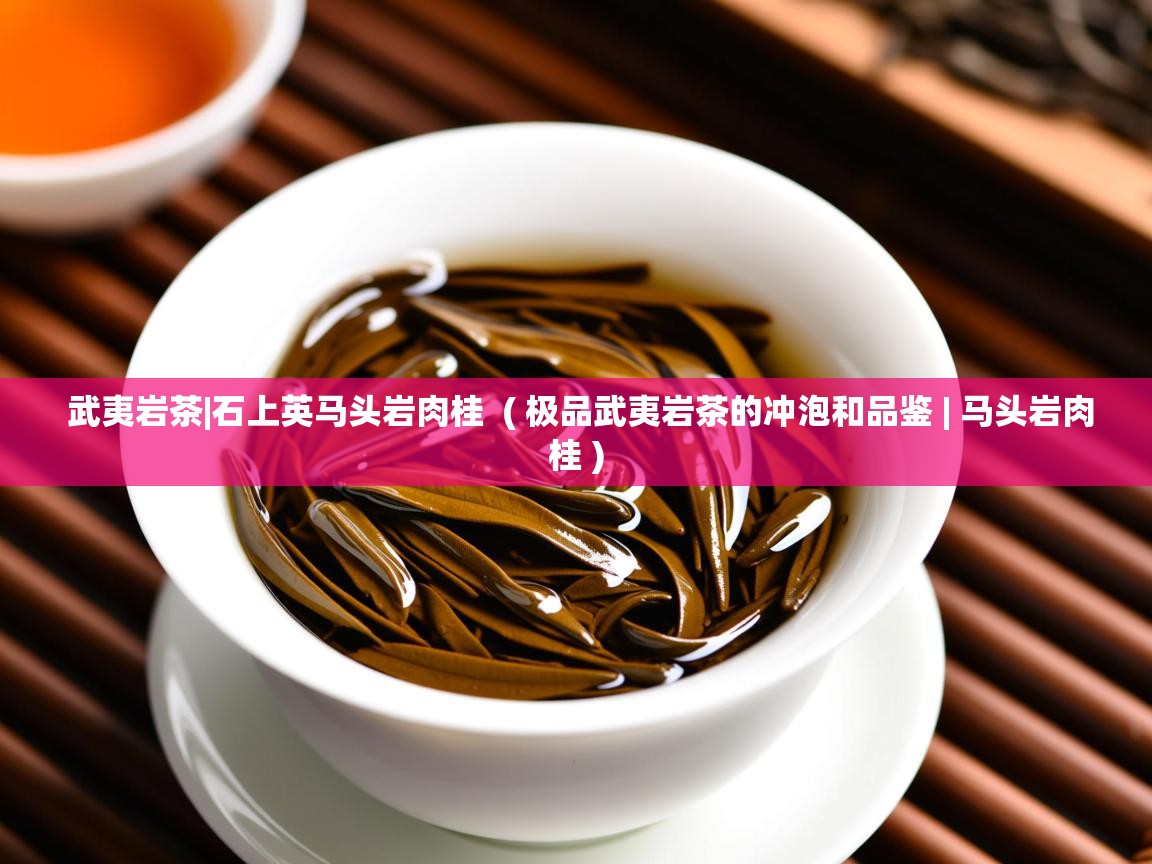 武夷岩茶|石上英马头岩肉桂  ( 极品武夷岩茶的冲泡和品鉴 | 马头岩肉桂 )  武夷岩茶|石上英马头岩肉桂  ( 极品武夷岩茶的冲泡和品鉴 | 马头岩肉桂 )
