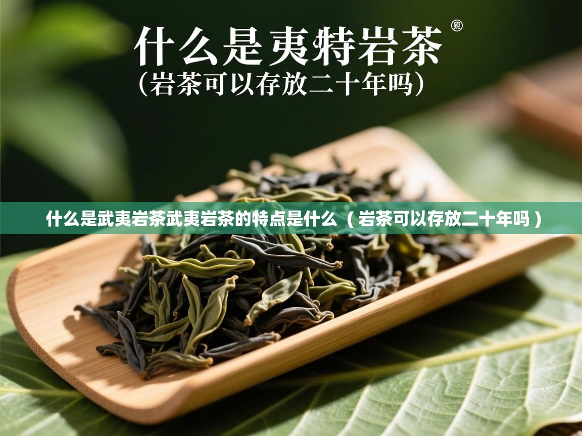 什么是武夷岩茶武夷岩茶的特点是什么  ( 岩茶可以存放二十年吗 )  什么是武夷岩茶武夷岩茶的特点是什么  ( 岩茶可以存放二十年吗 )