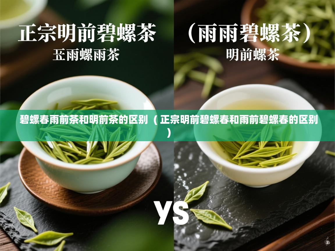 碧螺春雨前茶和明前茶的区别  ( 正宗明前碧螺春和雨前碧螺春的区别 )  碧螺春雨前茶和明前茶的区别  ( 正宗明前碧螺春和雨前碧螺春的区别 )