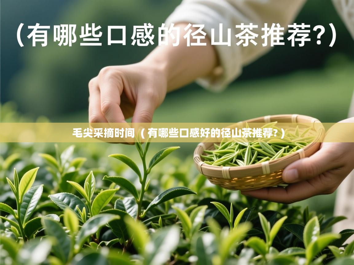  毛尖采摘时间  ( 有哪些口感好的径山茶推荐? )