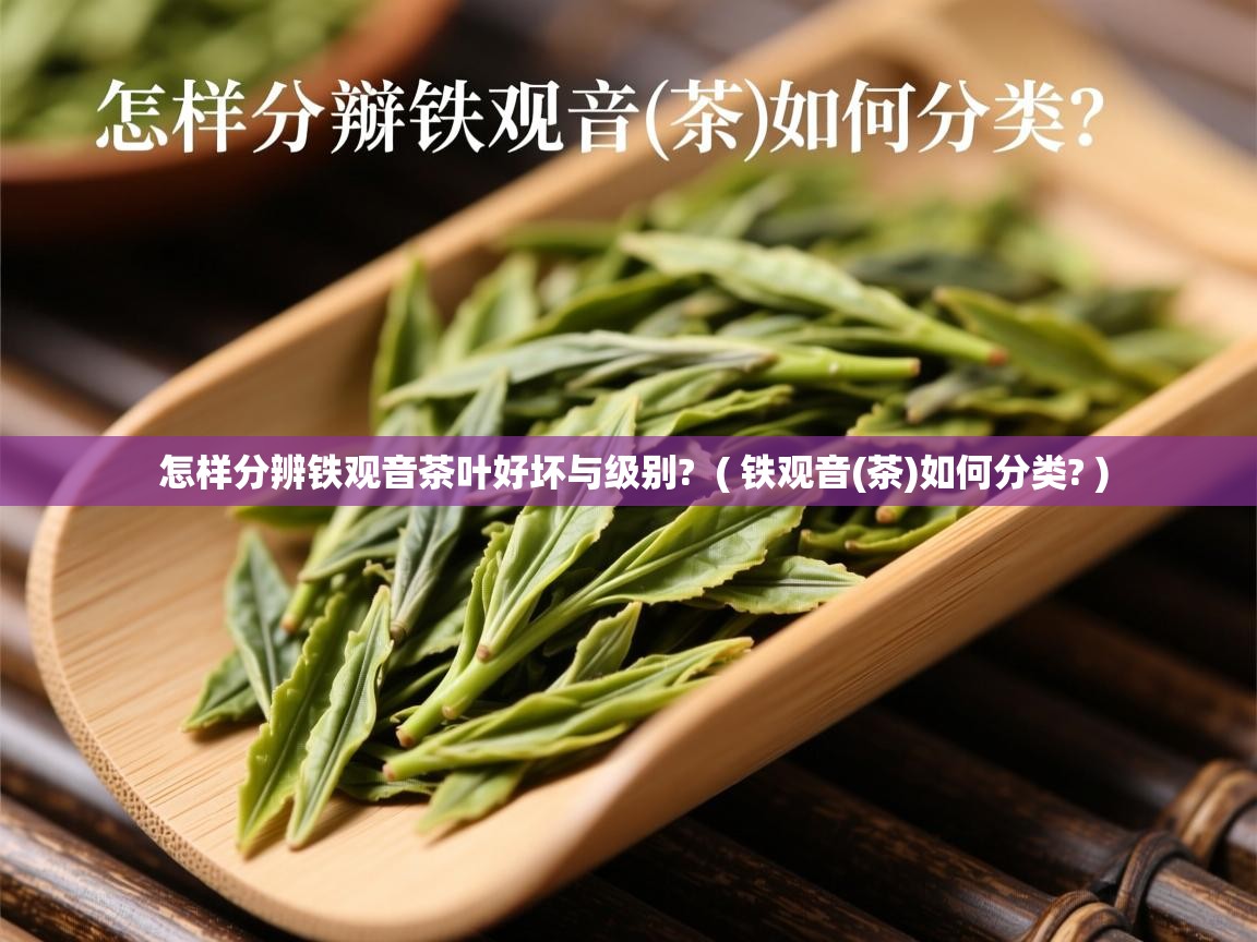 怎样分辨铁观音茶叶好坏与级别?  ( 铁观音(茶)如何分类? )  怎样分辨铁观音茶叶好坏与级别?  ( 铁观音(茶)如何分类? )
