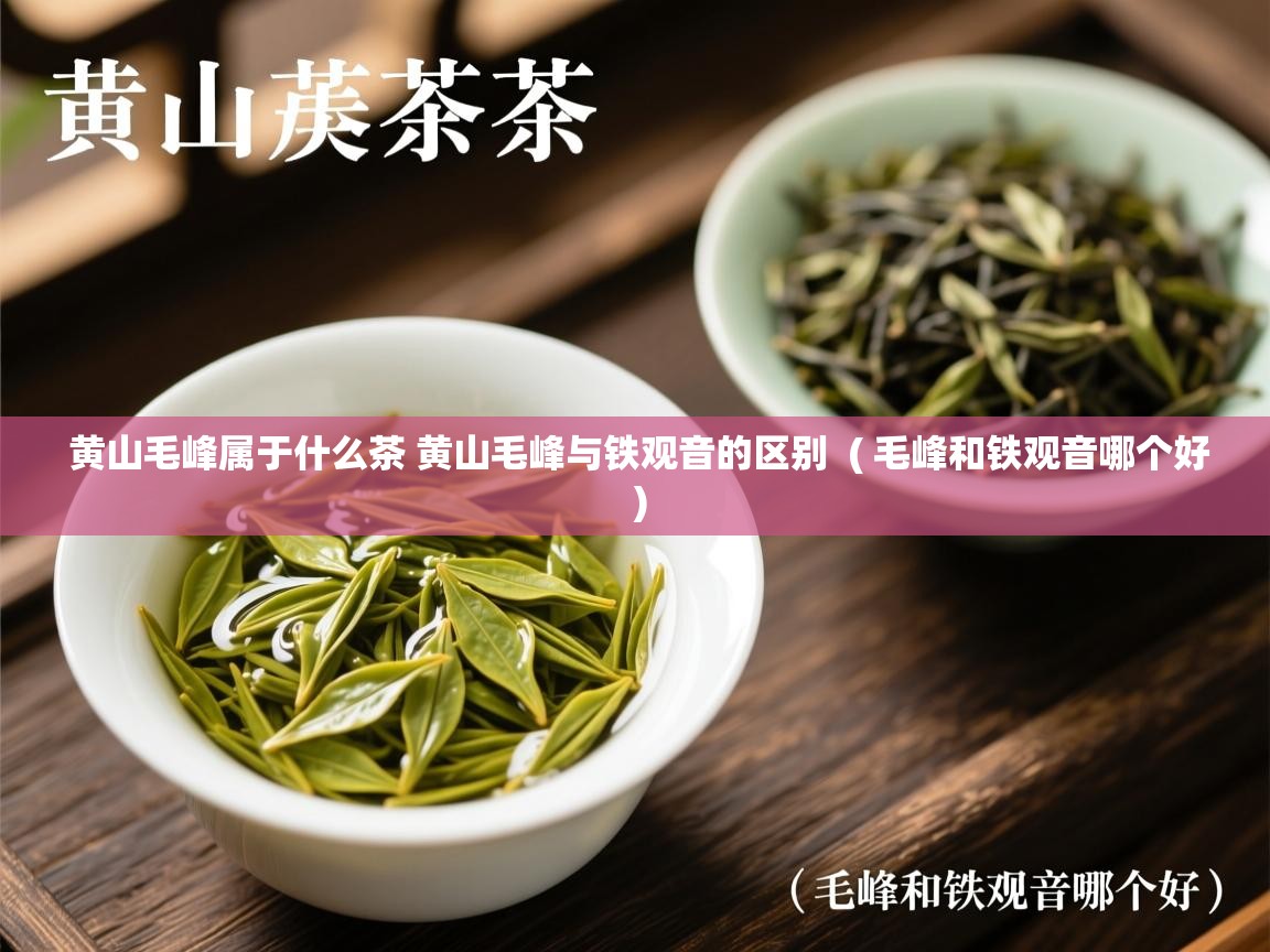 黄山毛峰属于什么茶 黄山毛峰与铁观音的区别  ( 毛峰和铁观音哪个好 )  黄山毛峰属于什么茶 黄山毛峰与铁观音的区别  ( 毛峰和铁观音哪个好 )