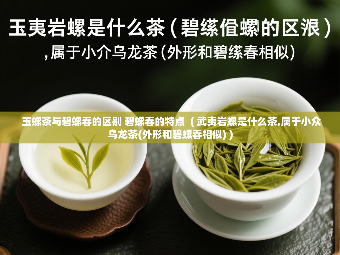  玉螺茶与碧螺春的区别 碧螺春的特点  ( 武夷岩螺是什么茶,属于小众乌龙茶(外形和碧螺春相似) )