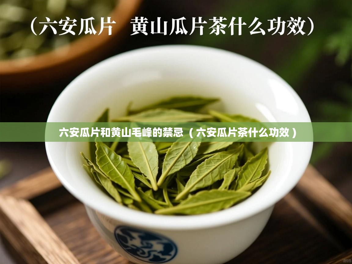 六安瓜片和黄山毛峰的禁忌  ( 六安瓜片茶什么功效 )  六安瓜片和黄山毛峰的禁忌  ( 六安瓜片茶什么功效 )