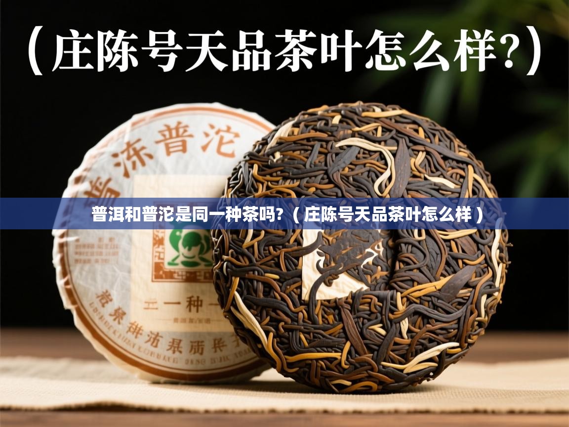 普洱和普沱是同一种茶吗?  ( 庄陈号天品茶叶怎么样 )  普洱和普沱是同一种茶吗?  ( 庄陈号天品茶叶怎么样 )