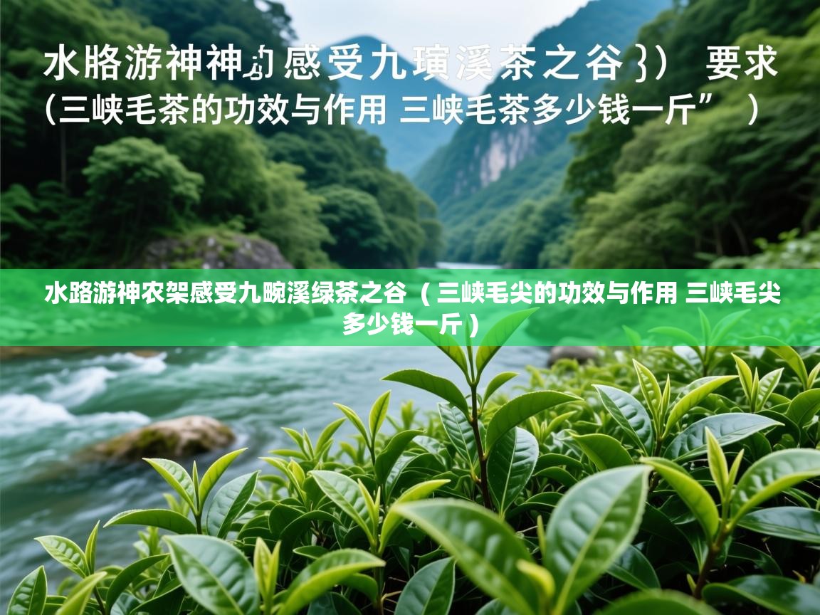 水路游神农架感受九畹溪绿茶之谷  ( 三峡毛尖的功效与作用 三峡毛尖多少钱一斤 )  水路游神农架感受九畹溪绿茶之谷  ( 三峡毛尖的功效与作用 三峡毛尖多少钱一斤 )