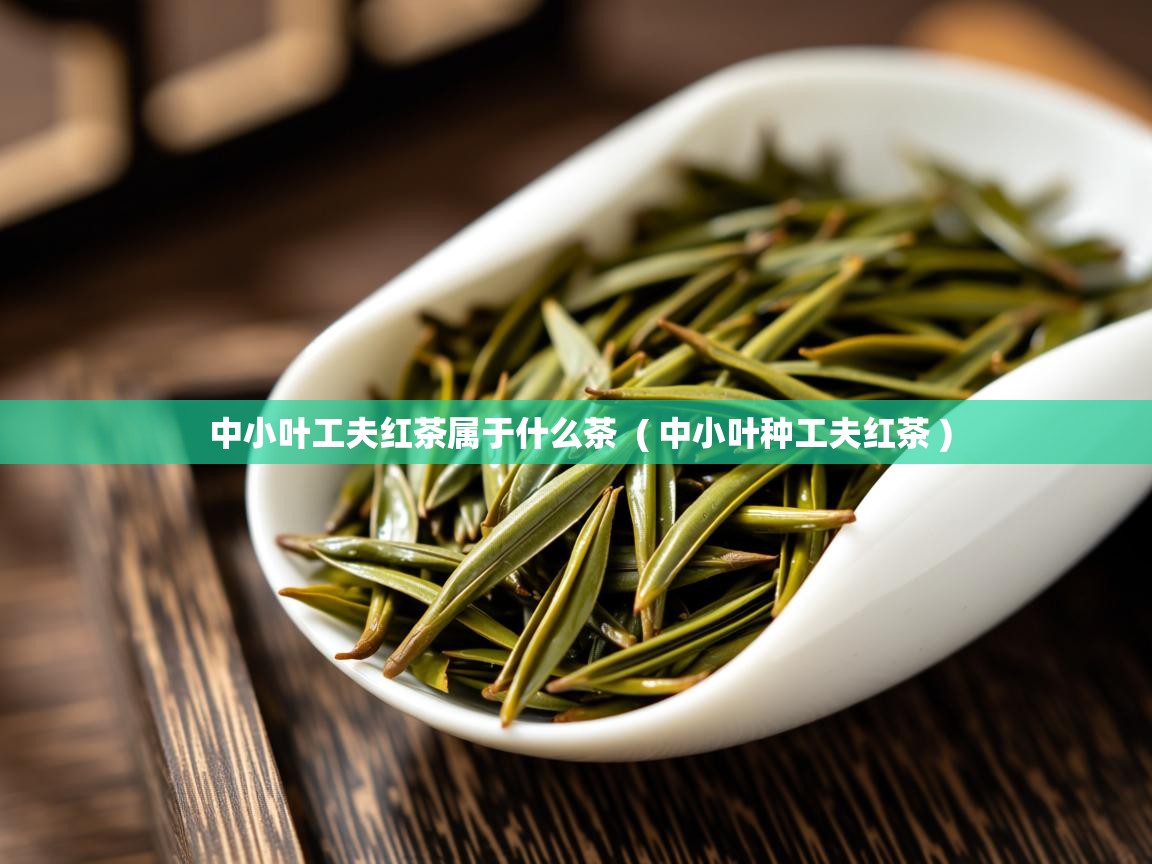 中小叶工夫红茶属于什么茶  ( 中小叶种工夫红茶 )  中小叶工夫红茶属于什么茶  ( 中小叶种工夫红茶 )