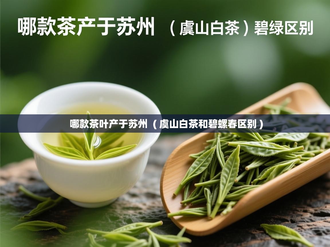 哪款茶叶产于苏州  ( 虞山白茶和碧螺春区别 )  哪款茶叶产于苏州  ( 虞山白茶和碧螺春区别 )