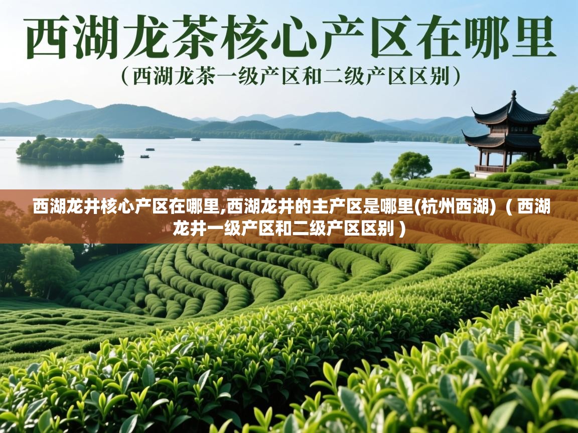 西湖龙井核心产区在哪里,西湖龙井的主产区是哪里(杭州西湖)  ( 西湖龙井一级产区和二级产区区别 )  西湖龙井核心产区在哪里,西湖龙井的主产区是哪里(杭州西湖)  ( 西湖龙井一级产区和二级产区区别 )