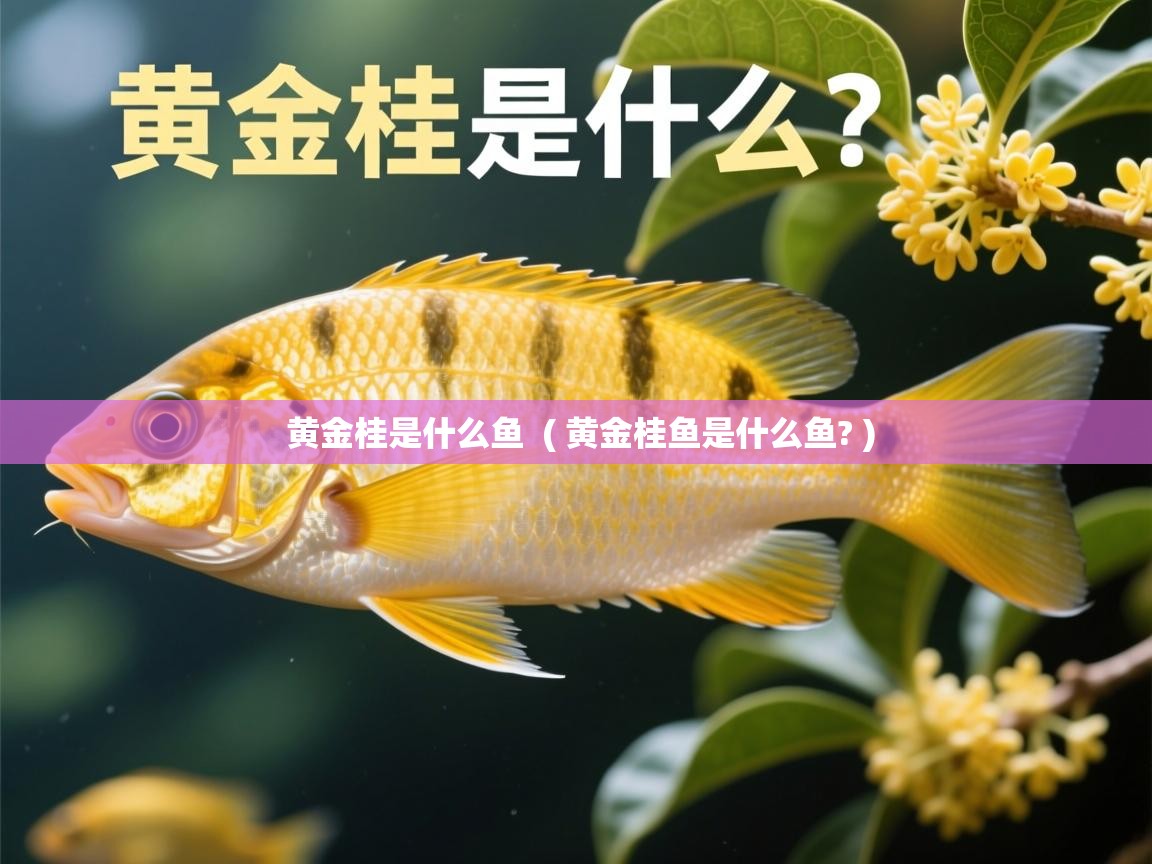  黄金桂是什么鱼  ( 黄金桂鱼是什么鱼? )