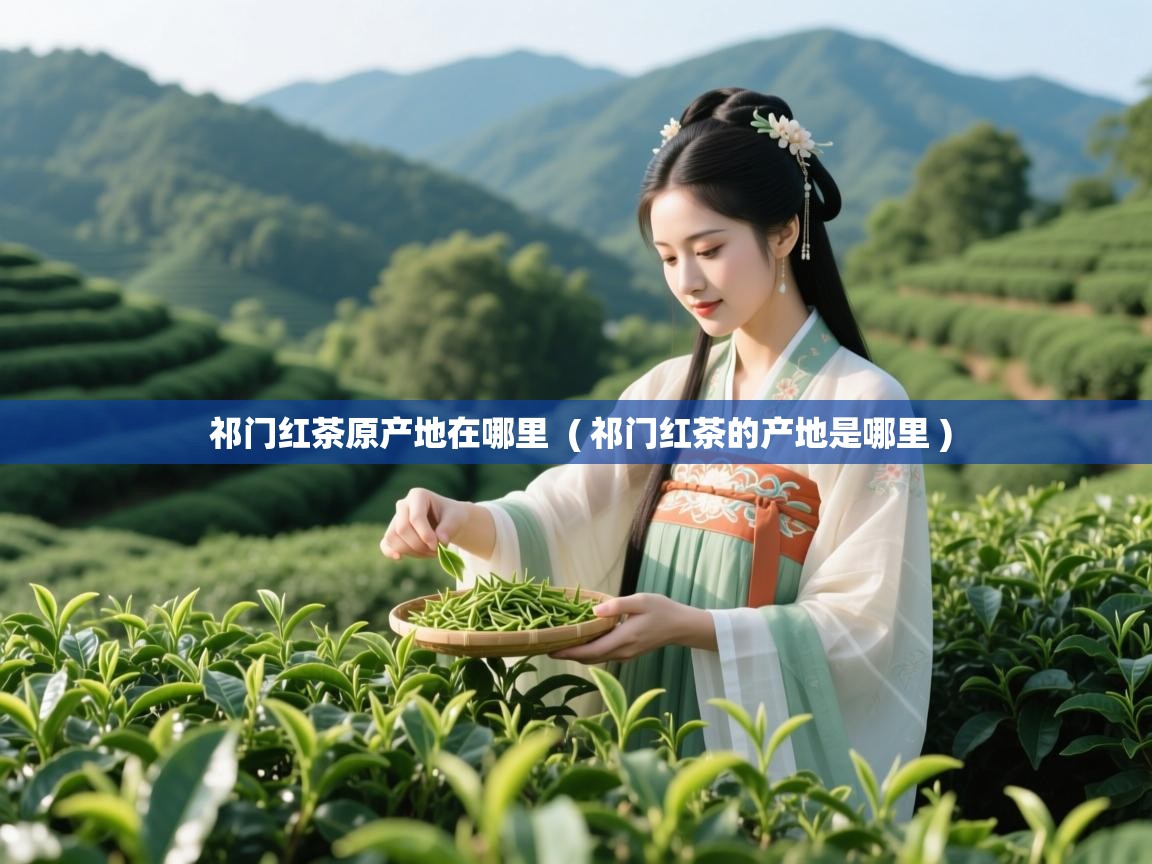 祁门红茶原产地在哪里  ( 祁门红茶的产地是哪里 )  祁门红茶原产地在哪里  ( 祁门红茶的产地是哪里 )