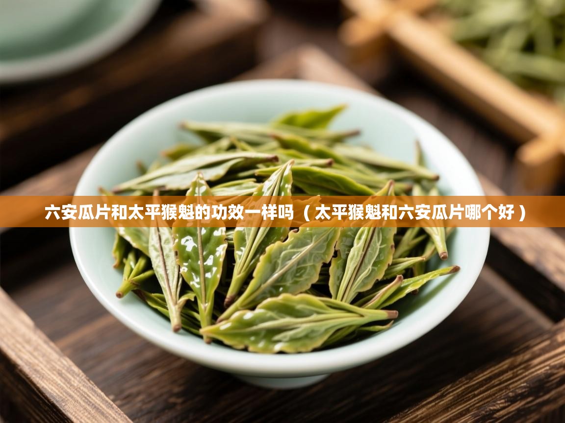 六安瓜片和太平猴魁的功效一样吗  ( 太平猴魁和六安瓜片哪个好 )  六安瓜片和太平猴魁的功效一样吗  ( 太平猴魁和六安瓜片哪个好 )