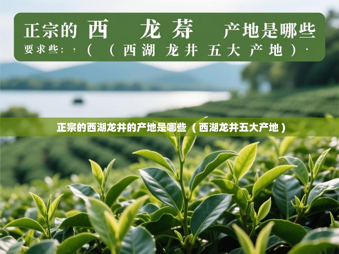 正宗的西湖龙井的产地是哪些  ( 西湖龙井五大产地 )  正宗的西湖龙井的产地是哪些  ( 西湖龙井五大产地 )