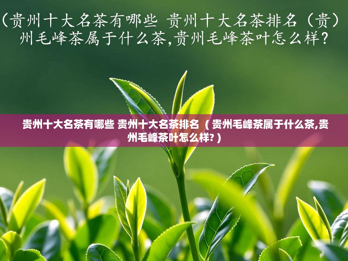 贵州十大名茶有哪些 贵州十大名茶排名  ( 贵州毛峰茶属于什么茶,贵州毛峰茶叶怎么样? )  贵州十大名茶有哪些 贵州十大名茶排名  ( 贵州毛峰茶属于什么茶,贵州毛峰茶叶怎么样? )