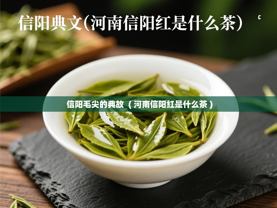 信阳毛尖的典故  ( 河南信阳红是什么茶 )  信阳毛尖的典故  ( 河南信阳红是什么茶 )