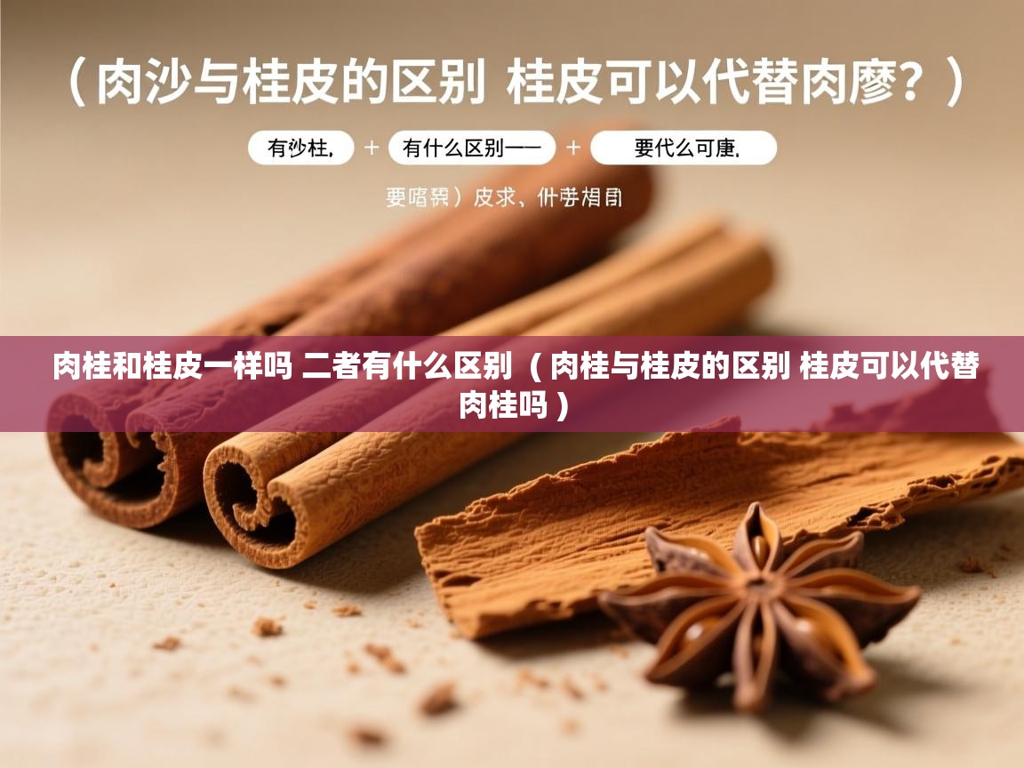  肉桂和桂皮一样吗 二者有什么区别  ( 肉桂与桂皮的区别 桂皮可以代替肉桂吗 )