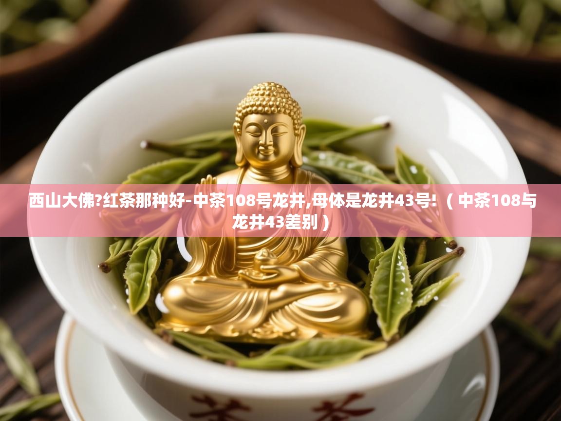 西山大佛?红茶那种好-中茶108号龙井,母体是龙井43号!  ( 中茶108与龙井43差别 )  西山大佛?红茶那种好-中茶108号龙井,母体是龙井43号!  ( 中茶108与龙井43差别 )