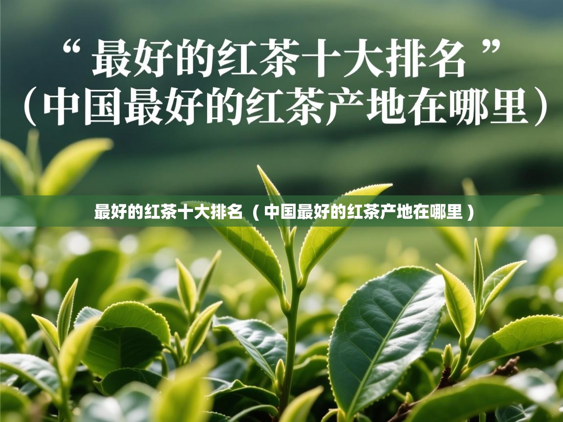 最好的红茶十大排名  ( 中国最好的红茶产地在哪里 )  最好的红茶十大排名  ( 中国最好的红茶产地在哪里 )
