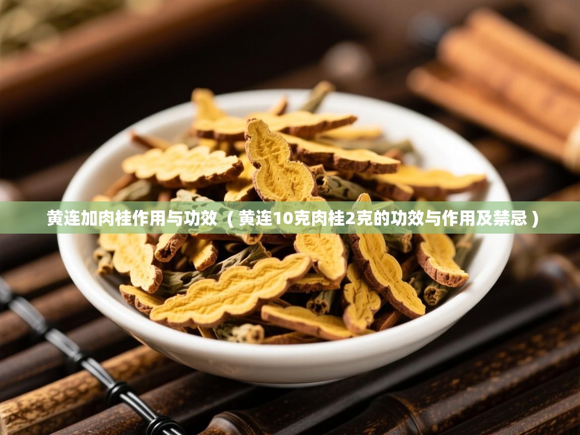 黄连加肉桂作用与功效  ( 黄连10克肉桂2克的功效与作用及禁忌 )