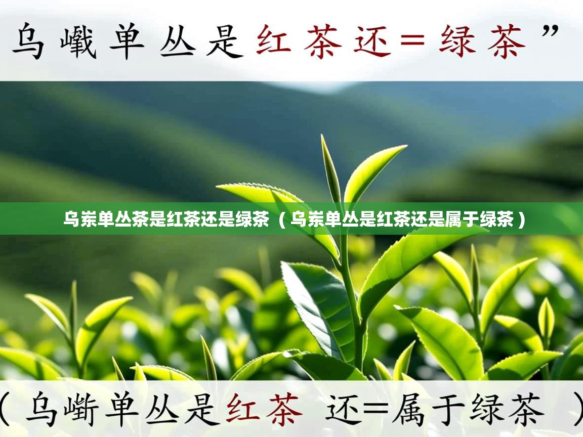  乌岽单丛茶是红茶还是绿茶  ( 乌岽单丛是红茶还是属于绿茶 )
