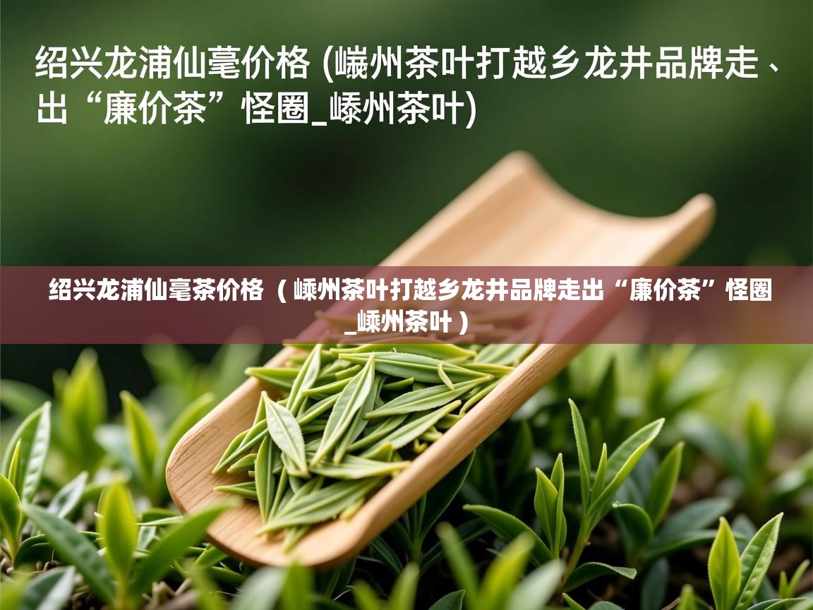 绍兴龙浦仙毫茶价格  ( 嵊州茶叶打越乡龙井品牌走出“廉价茶”怪圈_嵊州茶叶 )  绍兴龙浦仙毫茶价格  ( 嵊州茶叶打越乡龙井品牌走出“廉价茶”怪圈_嵊州茶叶 )