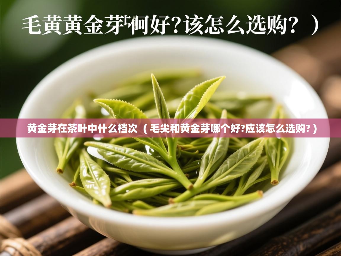 详细阅读: 黄金芽在茶叶中什么档次  ( 毛尖和黄金芽哪个好?应该怎么选购? )  黄金芽在茶叶中什么档次  ( 毛尖和黄金芽哪个好?应该怎么选购? )