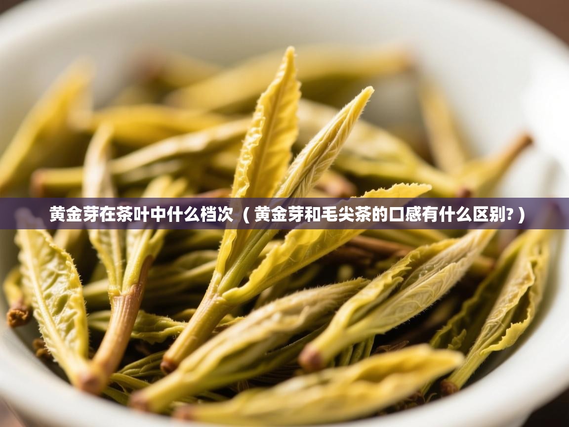 黄金芽在茶叶中什么档次  ( 黄金芽和毛尖茶的口感有什么区别? )  黄金芽在茶叶中什么档次  ( 黄金芽和毛尖茶的口感有什么区别? )