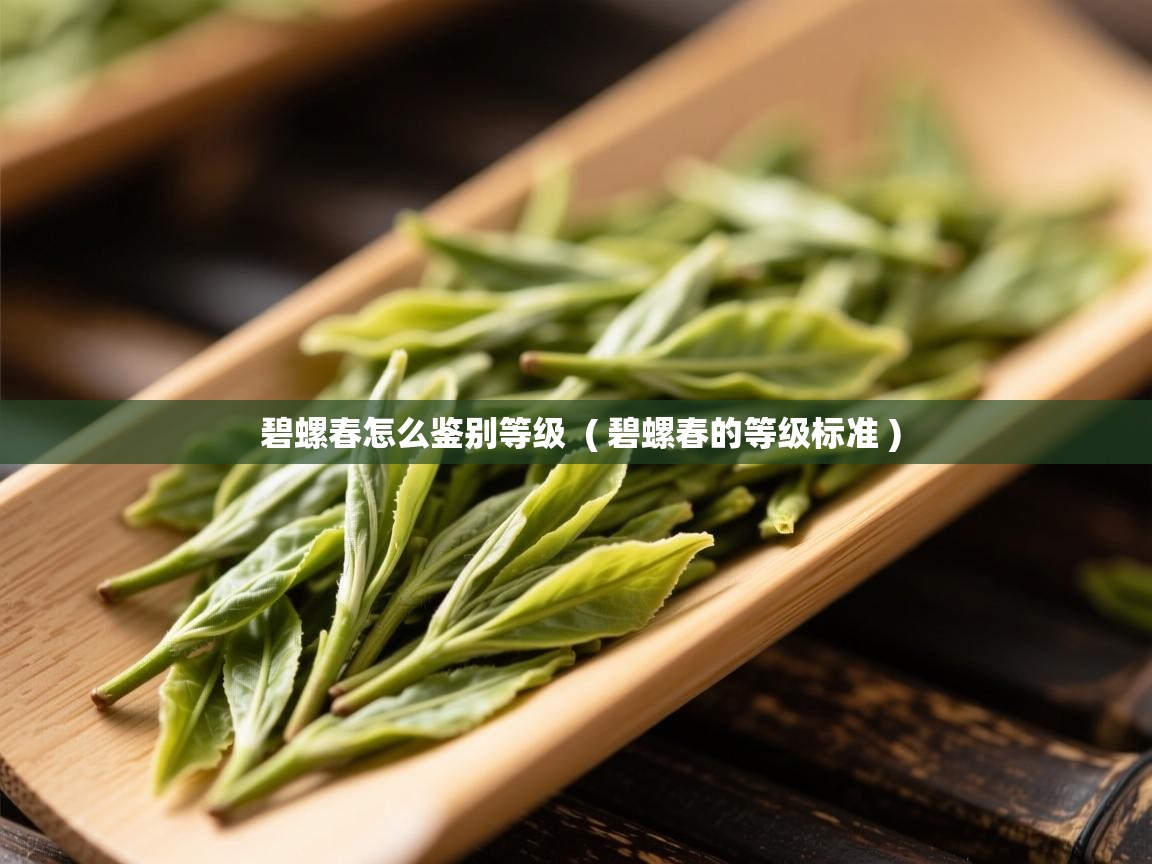  碧螺春怎么鉴别等级  ( 碧螺春的等级标准 )