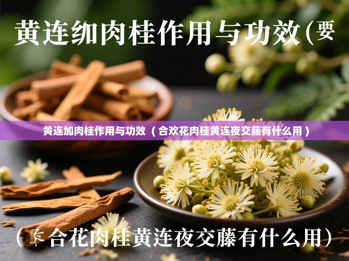  黄连加肉桂作用与功效  ( 合欢花肉桂黄连夜交藤有什么用 )