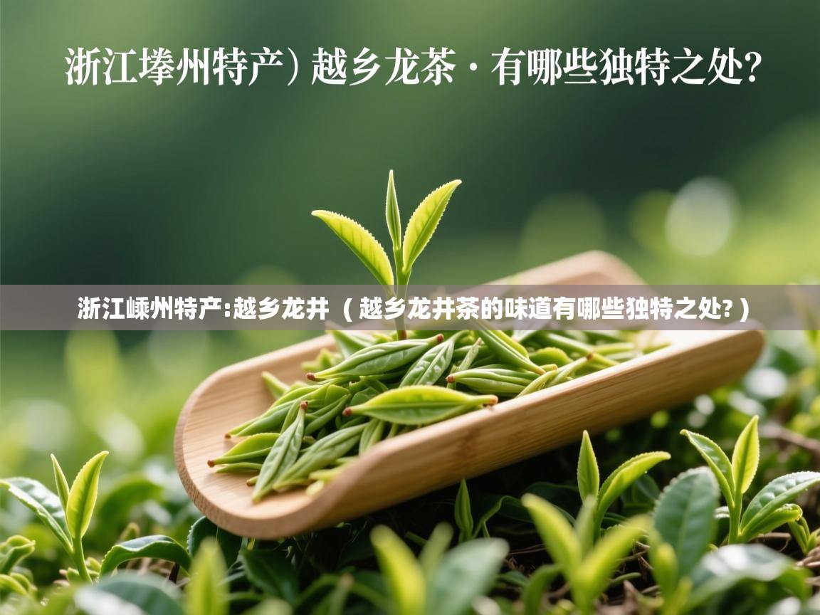 浙江嵊州特产:越乡龙井  ( 越乡龙井茶的味道有哪些独特之处? )  浙江嵊州特产:越乡龙井  ( 越乡龙井茶的味道有哪些独特之处? )