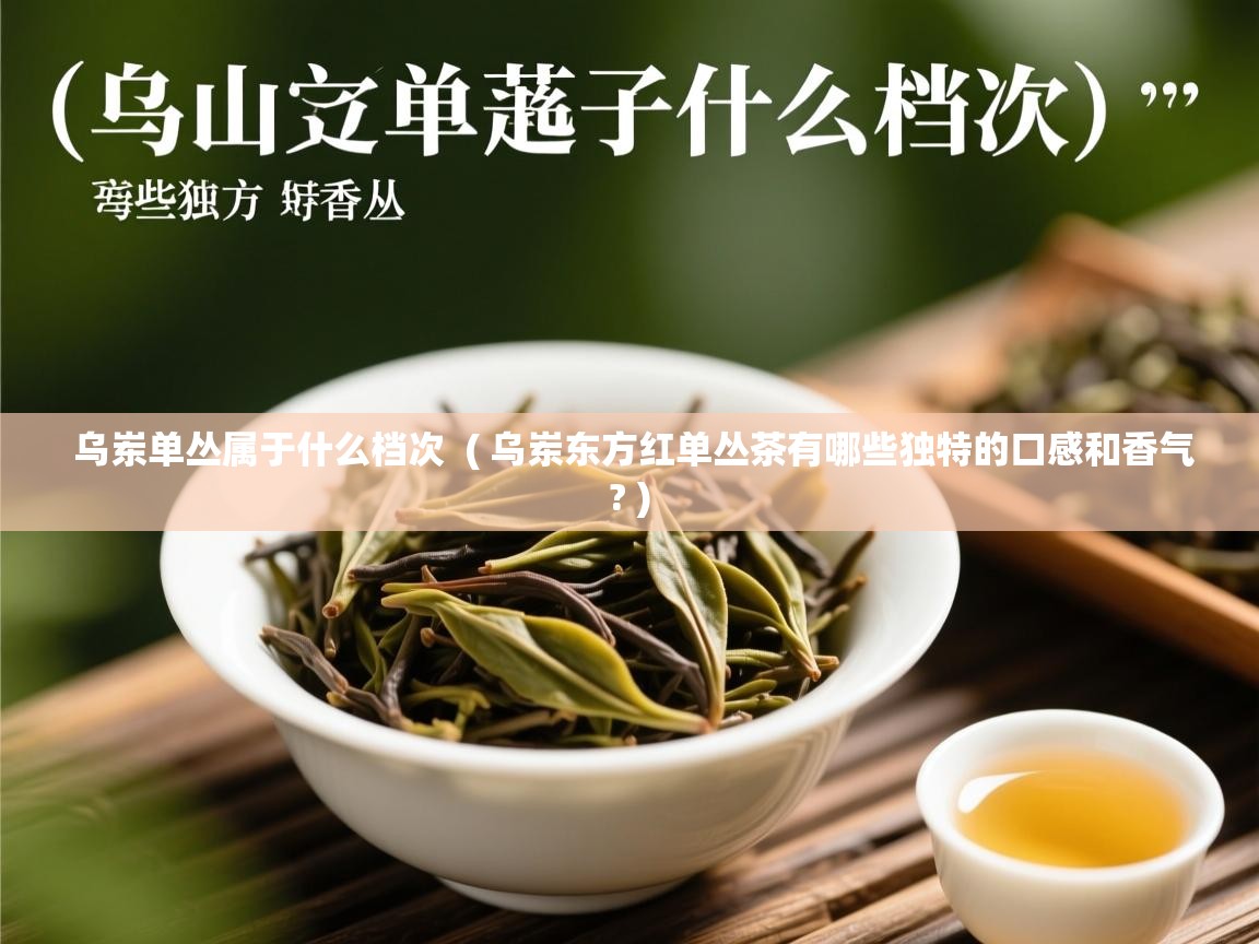  乌岽单丛属于什么档次  ( 乌岽东方红单丛茶有哪些独特的口感和香气? )